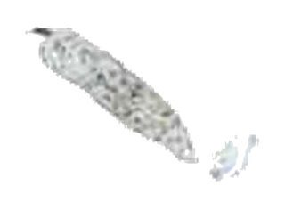 Saucisson nature pure porc