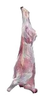 Veau entier Charolais (< de 8 mois)