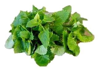 Menthe Mojito