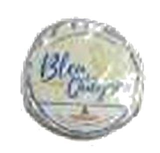 Bleu du Queyras entier au lait cru de vache
