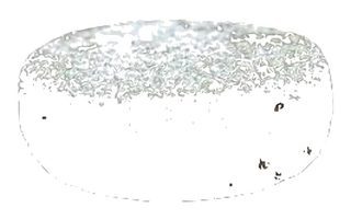 Tomme de Vache à l'ail des Ours (Croûte) NOUVEAU !