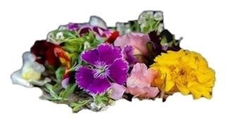 Mini bataille de fleurs