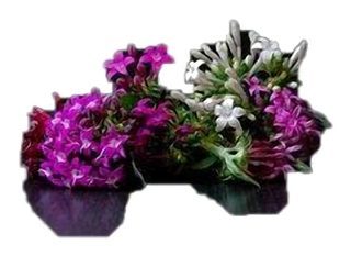 Pentas