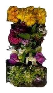 Mix 4 fleurs