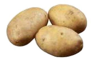 Monaliza