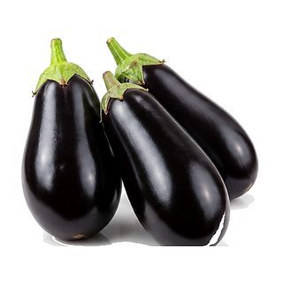 Aubergine Noire