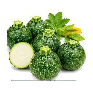 Courgette ronde du Pays Petit Calibre (4-6 cm)
