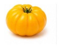 Tomate Cœur de bœuf jaune