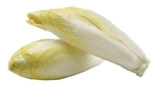 Endive (Nord)
