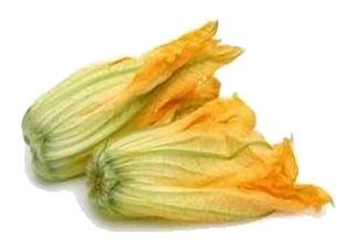 Fleurs de Courgettes