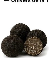 Truffe de Chine Indicum brossée 1ʳᵉ cuisson (cru)