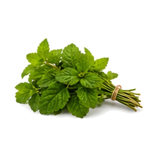 Menthe en Bouquet