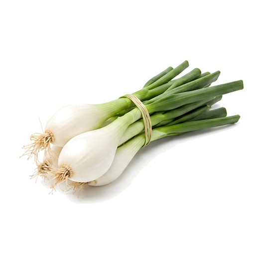 Oignons Blanc Nouveau en Botte