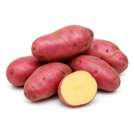 Pomme de terre Patate Rouge