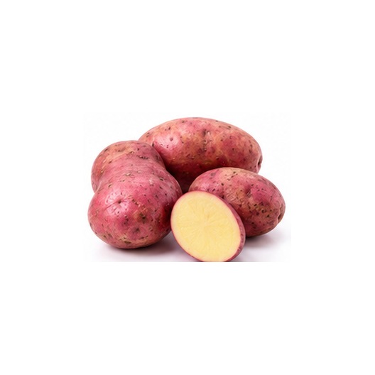 Pomme de terre rouge