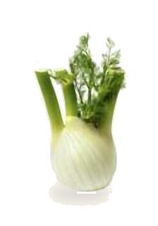 Fenouil séché