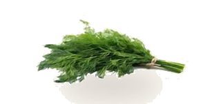 Basilic en Botte XXL NOUVEAU !