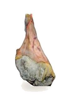 Prisuttu entier avec Os (Jambon Cru)