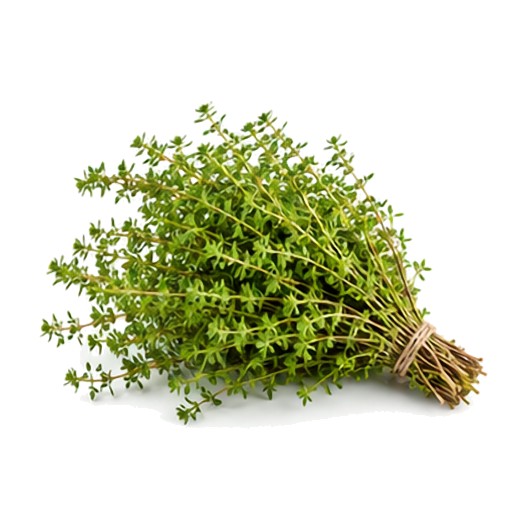 Thym Citron en botte XXL