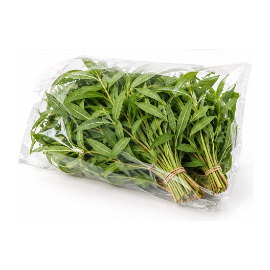 Verveine poche XL